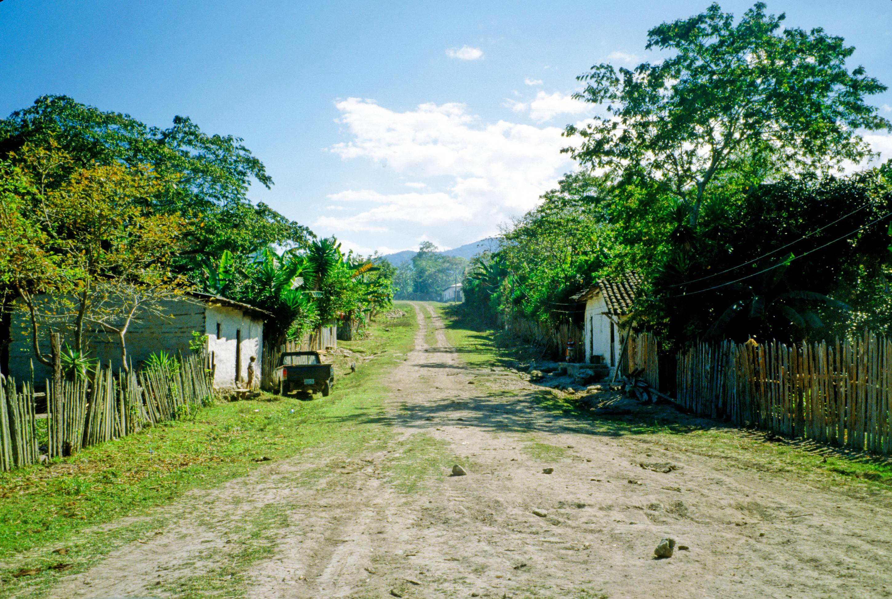 Honduras Dirt Road